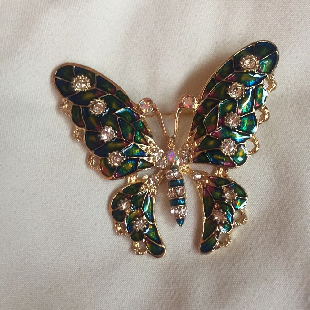🆕 Butterfly 🦋 Brooch